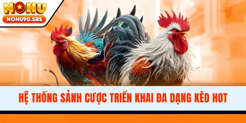 Hệ thống sảnh cược triển khai đa dạng kèo hot